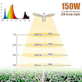 Pikkukuva 4 / 4: 150W LED-kasvuvalon polttimo 414 LED:llä, taitettava auringonkaltainen kasvuvalo