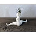 Miniatyrbillede 2 af 5: Sjov stor numse spøgelse potteplanter rædsler i dette hus latterlige luftplante display & gag gave med levende luftplante Tillandsia Jst（spøgelse blomsterpotte）