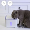 Miniatyrbillede 3 af 5: Pet Vandfontæne 2L Automatisk Hundedrikkedispenser Elektrisk LED-belysning 7 Graders Hældning