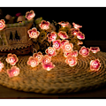 Miniatyrbild 4 av 5: En bit ljusslinga med två meter och 20 rosa LED-lampor, USB-batteridriven, för jul, flickrum, sovrum, inomhus, utomhus, bröllop, alla hjärtans dag