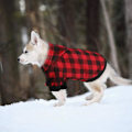 Miniatyrbilde 4 av 5: Rutete hundegenser genser genser for mellomstore hunder katter små hunder klær frakk varm og myk