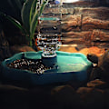 Miniatyrbild 3 av 4: Reptilmatare 2 i 1 Automatisk Vattenmatningsbricka Tillbehör