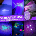 Miniatyrbillede 3 af 5: UV sort lys med 100 LED'er, ultraviolet håndlampe, kæledyrsdetektorer til falske pengesedler, hunde, tæpper