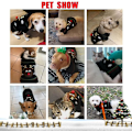 Miniatyrbillede 4 af 5: Hundesweatre, Hundevintersweater, Julemønstersweater, Vinterstrikket frakke, Kæledyrstøj, Fashi