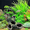 Miniatyrbillede 3 af 4: Træhul Hul Gemmested Akvarium Krybdyr Habitat Landskabshulning