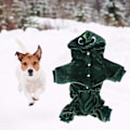 Miniatyrbillede 5 af 5: Hvalpeklæder, Vintertøj til Hunde, Varm Koral Fleece Hundetøj, Fleece, Vinter, Sød, Dinosaur, Do