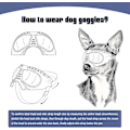 Miniatyrbillede 5 af 5: Hunde Goggles Øjenbeskyttelse Hunde Solbriller Anti-uv Goggles Vindtætte Hvalpegoggles Med Justerbar Fl
