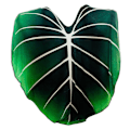 Miniatyrbillede 1 af 5: Kreativ Philodendron Gloriosum Design Tæppe Simulering Blad Plys Tæppe