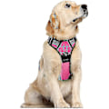 Miniatyrbillede 1 af 5: Hunde sele, trækfri sele med 2 snorclips, justerbar blød polstret hundevest, reflekterende udendørs