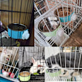 Miniatyrbillede 5 af 5: Hundemad- og vandskål i rustfrit stål til bur, aftagelig hængeskål til kæledyr, mad- og vandautomat til kat, hvalp, fugle, rotter, marsvin