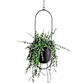 Miniatyrbild 1 av 5: Metallhängande planter Hängande växter Hängande växtstativ Blomkrukor Inomhus Utomhus Balkong Tak Trädgård Dekor Hängande kedja Svart