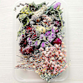 Miniatyrbilde 4 av 5: Tørkede blomsterpakke blandet evige blomster og løvverk for DIY aromaterapi stearinlys gratulasjonskort