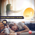 Miniatyrbild 5 av 5: Ljus väckarklocka, radioväckarklocka gryning och skymning simulator 20 ljusstyrkenivåer 7 naturliga ljud snooze-funktion FM-radio 7 färger LED sänglampa