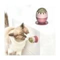Miniatyrbild 2 av 5: Kattmyntaboll leksak (rosa)