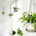 Miniatyrbild 3 av 5: Macrame växt hängare inomhus hängande växtkorg med träpärlor dekorativ blomkruka hållare inga tofsar inomhus utomhus boho heminredning 35 tum grå