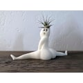 Miniatyrbillede 1 af 5: Sjov stor numse spøgelse potteplanter rædsler i dette hus latterlige luftplante display & gag gave med levende luftplante Tillandsia Jst（spøgelse blomsterpotte）
