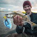 Miniatyrbillede 3 af 5: Bionisk Flersegmenters Agn Fiskelokke Tilapia Form med Trekrog Fiskegrej 8.5cm6#