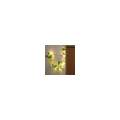 Miniatyrbild 2 av 5: Koppartrådslampa, rottingblomlampa, solros solrosrumsdekorationslampa, rottinglampa 2 meter 20 lampor