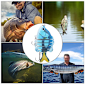 Pikkukuva 5 / 5: Bionic useita segmenttejä syöttikala viehe tilapia muoto kolmihaarakoukulla kalastustarvikkeet 8.5cm6#
