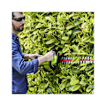 Miniatyrbild 4 av 4: Greenworks 40V G40HT61 24'' batterilös häcksax 2200907