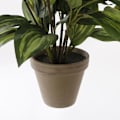 Miniatyrbillede 3 af 4: Mica Decorations Hosta Kunstig plante - H65 x Ø40 cm - Grøn Grön