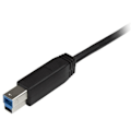 Pikkukuva 3 / 4: USB-C-kaapeli USB-B:hen - STARTECH - 2 m - USB 3.0 - Uros/Uros - Musta