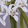 Miniatyrbild 2 av 3: Julgransram glas 50 x 60 x 2,8 cm 50 x 2,8 x 60 cm blommor (6 stycken)