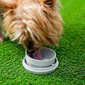Pikkukuva 5 / 6: Vetoleash for dog - InnovaGoods - Leashic - 6 in 1 - LED-valo - Kätevät osastot mörkgrå