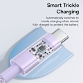 Pikkukuva 6 / 6: USB-C - USB-C - Kaapeli, Supernopea Lataus 100W, 2m - Baseus Gem (P1037373000511-01) - Nebula Purple