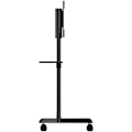 Miniatyrbild 3 av 3: Fixation tv - support tv - väggmontering för tv Startech - MBLTVSTNDEC - TV-vagn för 37-70'' med hjul