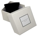 Miniatyrbillede 3 af 3: Ur - RADIANT - RA546203 Amore - Rustfrit stål - Kvarts - Dame