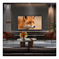 Miniatyrbillede 3 af 4: TV OLED Evo LG OLED48C5 121 cm 4K UHD 2025
