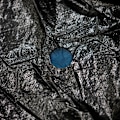 Miniatyrbillede 4 af 5: GRE - Vintercover til oval overjordisk pool 5,00m x 3,00m - GRE - CIPROV501 - 120g/m² - Blå Blå