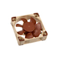 Miniatyrbillede 1 af 4: Ventilator - Noctua - NF-A4x10 PWM - 4 cm - 1000-5000 omdr./min - 19,6 dB