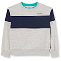 Miniatyrbild 1 av 2: Träningströja - Levi's - Lvb Clrblck Crewneck Sweater - Färg: Svart - Långa ärmar - Barn Grå Ljung 14 år gammal