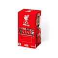 Pikkukuva 2 / 4: Figuriini Minix 12 cm - Liverpool - Van Dijk 4