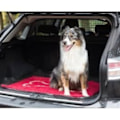 Miniatyrbillede 4 af 4: Absorberende Dørmåtte - SNESE DOG - Dørmåtte - Grå - Brun - Skridsikker grå, brun, röd
