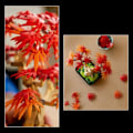 Miniatyrbild 4 av 6: LEGO Botanicals 10348 Röd Japansk Lönn - Byggsats för Vuxna röd grön