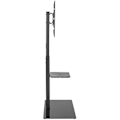 Pikkukuva 2 / 2: AISENS FT70S-077 lattiateline 37-70" televisiolle 40kg asti