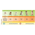 Miniatyrbillede 3 af 4: Bitelegetøj - Nylabone - Puppybone - Termoplastisk - Til hvalpe - Tandrensning