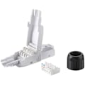 Miniatyrbillede 2 af 2: RJ45 Cat.6A - EQUIP - Pakke med 5 - Værktøjsfri montering - Forgyldt - RoHS-kompatibel