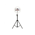 Miniatyrbillede 2 af 4: FOTO STUDIO MAX LED RING MED KSIX STATIV Svart