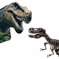 Miniatyrbillede 3 af 5: Dinosaurudgravning og skeletter 2 i 1 - T-rex - SES CREATIVE Flerfärgad