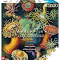 Miniatyrbillede 1 af 2: Puzzle - GODT BYT - Imagination Series - Ernst Haeckel - Sømænd - 1000 dele - Rektangulær