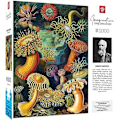 Miniatyrbillede 2 af 2: Puzzle - GODT BYT - Imagination Series - Ernst Haeckel - Sømænd - 1000 dele - Rektangulær