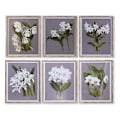 Miniatyrbild 1 av 3: Julgransram glas 50 x 60 x 2,8 cm 50 x 2,8 x 60 cm blommor (6 stycken)