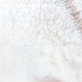 Miniatyrbild 3 av 5: Nytt gummivattenflaskeöverdrag vinter varm läckagesäker vit white
