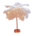 Miniatyrbillede 2 af 5: Fjerlampe, Kunstig Fjer LED Bordlampe, Genopladelig