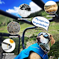 Miniatyrbillede 3 af 5: Hunde Goggles UV-beskyttelse Vandtæt Vindtæt Øjenbeskyttelse Til Store Mellemstore Hunde