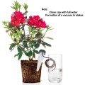 Miniatyrbilde 3 av 5: 8 stk plantevanningsanordninger, selvvanningssystem for planter, automatisk plantevanner i keramikk for feriehusplanter
